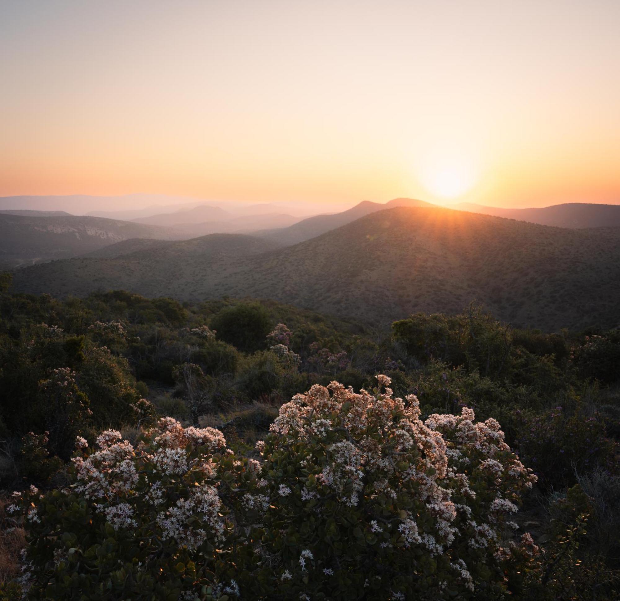 Kuzuko Lodge Addo Kültér fotó